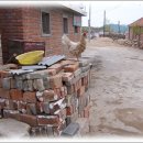 만주농장 이미지