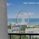 오션스테이7 네이버블로그