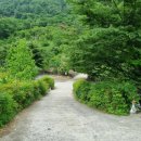 그린나래민박 이미지