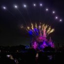 호갱양꼬치전문점 | ShaNghAi . zip 𖦹