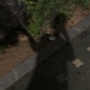 220711[6]