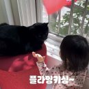 다홍