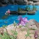 호텔 오월로 이미지