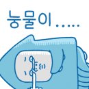 카페요거트아이스크림의정석 - 사천시 사천대로 1589-12 | 카페요거트아이스크림의정석