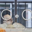 아프리카노래연습장 이미지