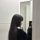 범수컷트