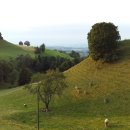 석양목장 이미지