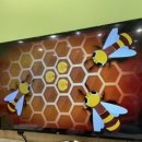 봄 | 꿀벌에 대해 알아보아요(벌집꾸미기) 이미지