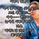 늙음의 美學(소설가 박경리,박완서) 이미지