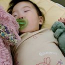 인형의 거리(용) 네이버블로그