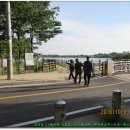 서호꽃뫼 이미지