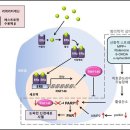 감초 추출물로 파킨슨병 막는다 이미지