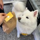 몽도날드 | [연산동]알러지 없이 건강한 수제간식 전문점 '몽도날드'