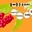 한열농장 네이버블로그