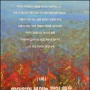 &lt;역사의 쓸모 - 최태성&gt; 자유롭고 떳떳한 삶을 위해 / 큰 별 쌤 최태성과 역사에서 답을 찾자