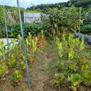 판교모아공인중개사사무소 이미지