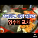 부평공원 | 부평공원 야장 포장마차 “영수네 포차” 벚꽃뷰 삼겹살 내돈내산 솔직 후기