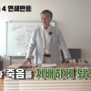 [ 지혜 자각의 4 연쇄반응 ] 이미지