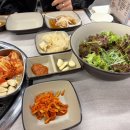 꼬야애견 이미지