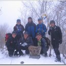 통리건널목 | 낙동정맥 1.피재→낙동분기봉→구봉산→대박등→유령산→우보산→통리역