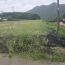 유상준농장 이미지