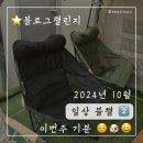 뉴데이 반려견 미용실 | 일상 블로그 챌린지 10월 2탄