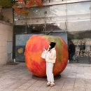 세계 최고의 미술관 여행 | 오랑주리 오르세 미술관 특별전 관람 후기