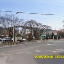 옥룡면사무소 앞 이미지