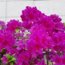 초원가든 이미지