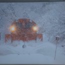 마쓰에 여행5 - 마쓰에의 신지코 역에서 전철을 타고 새와 꽃의 포겔파크에 가다! 이미지