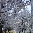 뉴훼미리공인중개사사무소 이미지