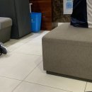 신촌연세이비인후과이대점의원 이미지