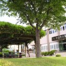 본촌(남부) 이미지