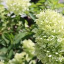 성북동-858 이미지