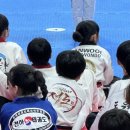 어울림생활문화센터(고양어울림누리內) 어울림마당 | 고양시의장배 태권도 대회-덕양어울림 체육관