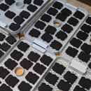 커피클레이 | 커피클레이 도어벨 초등학교 체험용으로 500개 작업후기