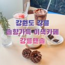강릉앤솔 이미지