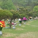 갈월공원 이미지