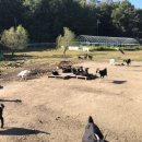 척산농장 이미지