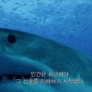 신호 이미지