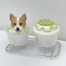 프프프 스토어 이미지