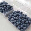 백용기농장 이미지