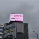 루니아의원 이미지