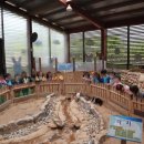 동그라미유치원 이미지