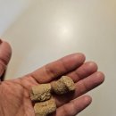 (주)그린펫푸드 이미지