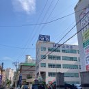 메디홀스 이미지