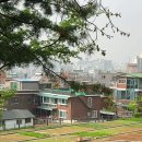 삼신농장 이미지