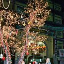 영남불교대학 앞 이미지