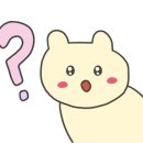 더치콩 이미지