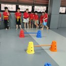 강철체육관(태권도) 이미지